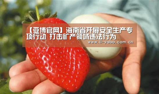 【亚博官网】海南省开展安全生产专项行动 打击矿产领域违法行为(图1) 亚博官网