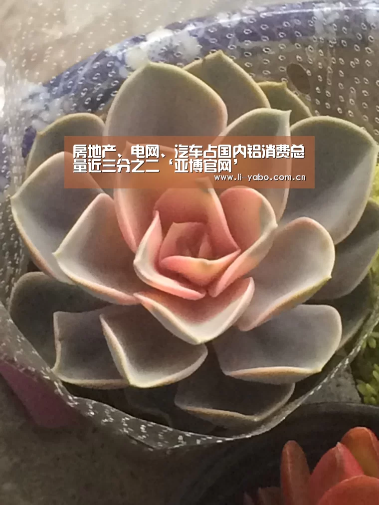 房地产、电网、汽车占国内铝消费总量近三分之二‘亚博官网’(图1) 亚博