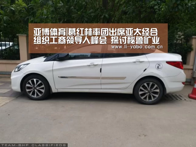 亚博体育|葛红林率团出席亚太经合组织工商领导人峰会 探讨秘鲁矿业及金属加工等领域合作(图2) 亚博体育